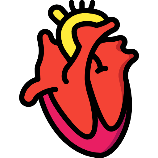 Heart body organ organ transplant icon
