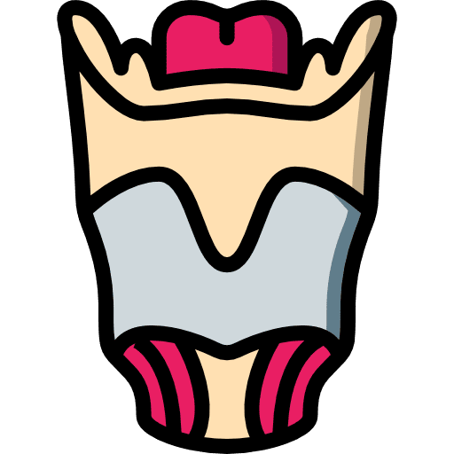Larynx pharynx human healthcare and medical icon