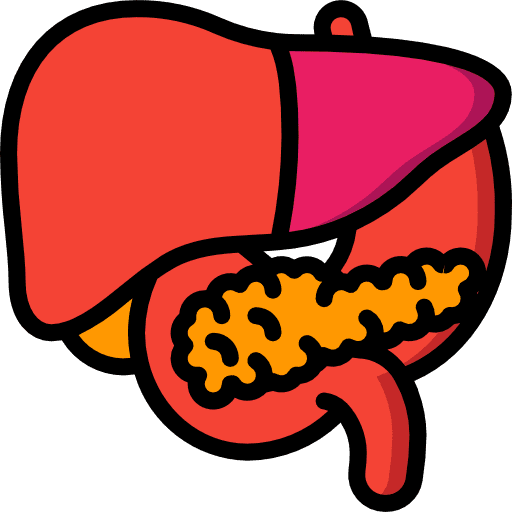 Liver healthcare and medical liver organ icon