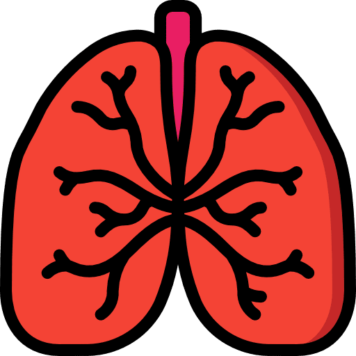 Lungs breath anatomy healthcare and medical icon