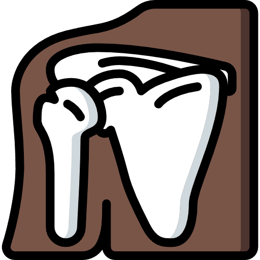 Shoulder bones shoulder anatomy icon