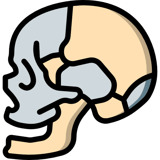 Skull anatomy healthcare and medical medical icon