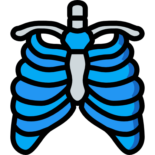 Sternum bones healthcare and medical sternum icon