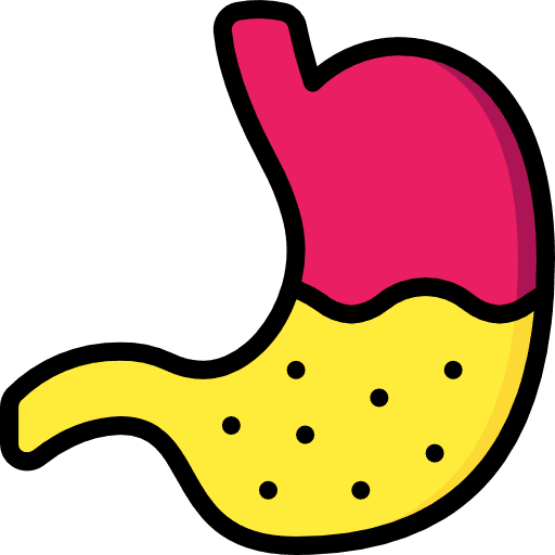 Stomach healthcare and medical organ anatomy icon