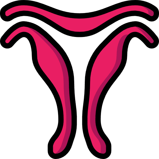 Uterus healthcare and medical medical female organs icon