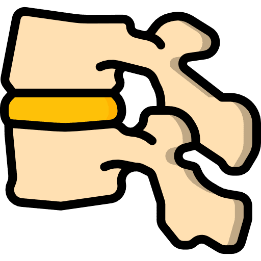 Vertebra bone human body healthcare and medical icon