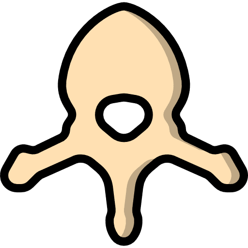 Vertebra vertebra medical healthcare and medical icon