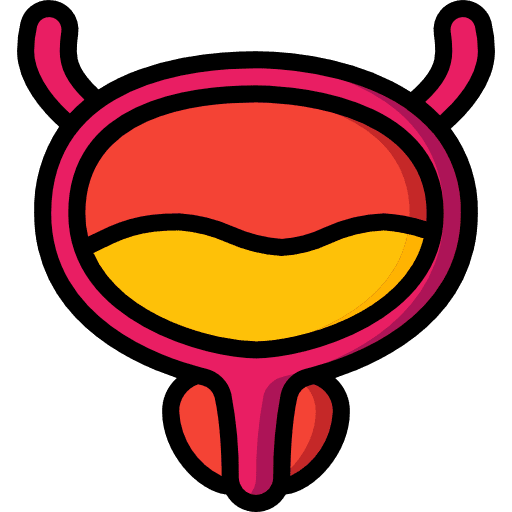 Bladder healthcare healthcare and medical anatomy icon