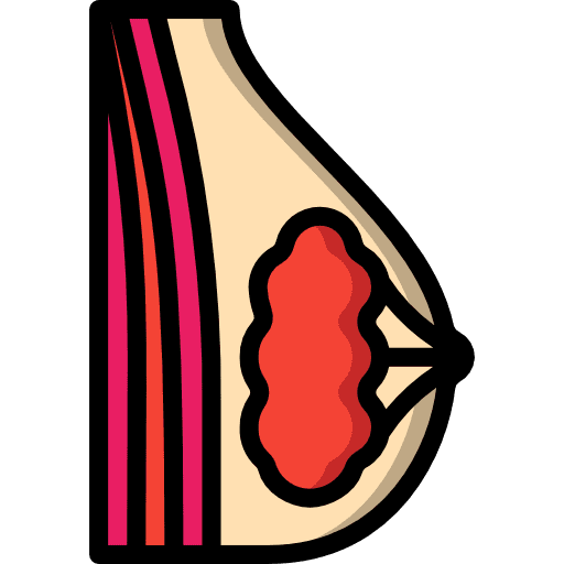 Breast female healthcare and medical bust icon