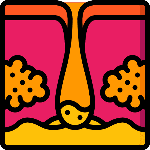 Dermis follicle human body healthcare and medical icon