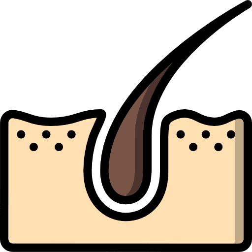 Dermis healthcare and medical human human body icon