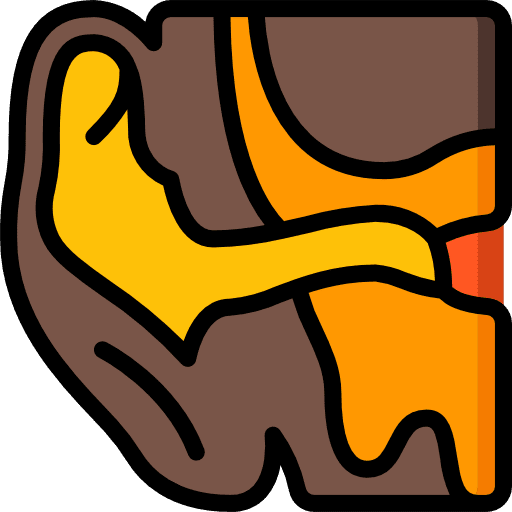 Ear medical anatomy ear icon
