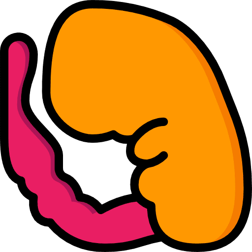 Embryo motherhood healthcare and medical biology icon