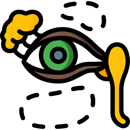 Eye body part ophthalmology eye icon
