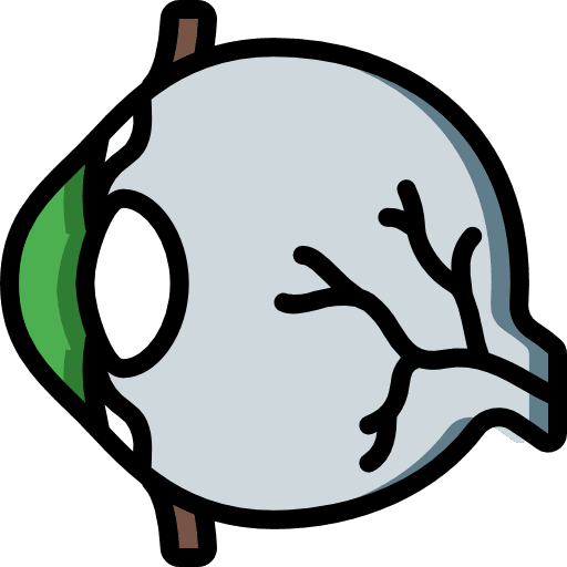 Eye human body healthcare and medical body organ icon