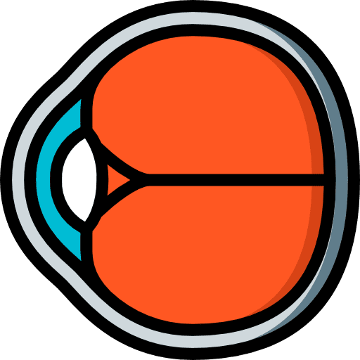 Eye ophthalmology human body eye icon