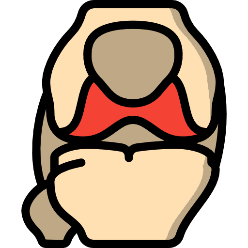 Knee joint knee articulation icon
