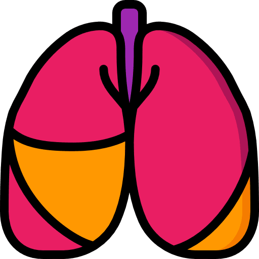 Lungs medical lung breath icon