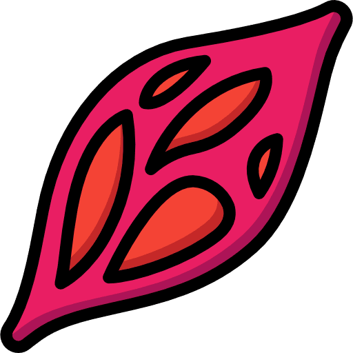 Muscle anatomy medical muscle icon