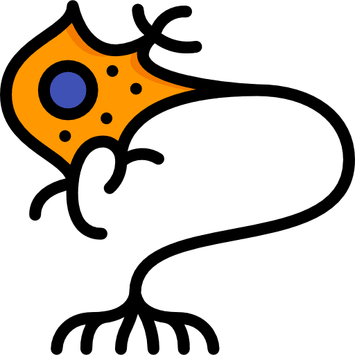 Neuron neuron body organ healthcare and medical icon