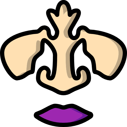 Nose body parts healthcare and medical noses icon