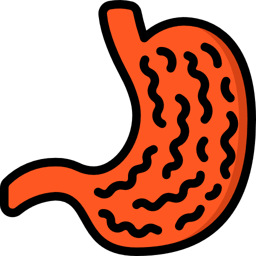 Stomach acid medical body parts icon