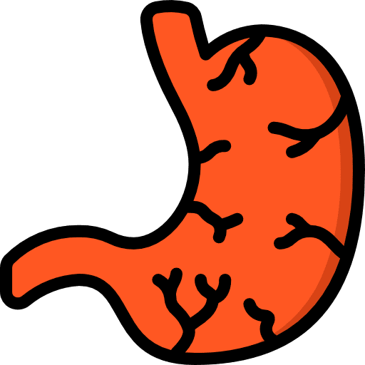 Stomach healthcare and medical anatomy medical icon