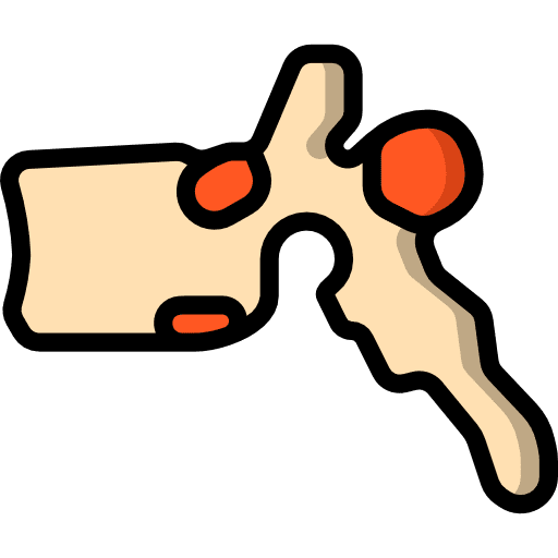 Vertebra healthcare and medical vertebra human body icon