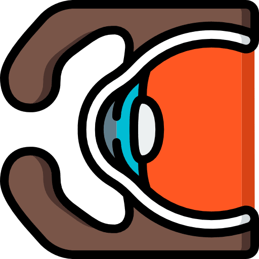 Eye eye optical anatomy icon