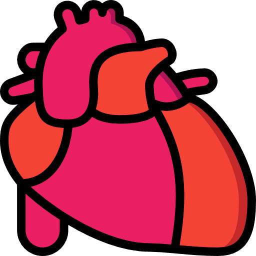 Heart heart organs healthcare and medical icon