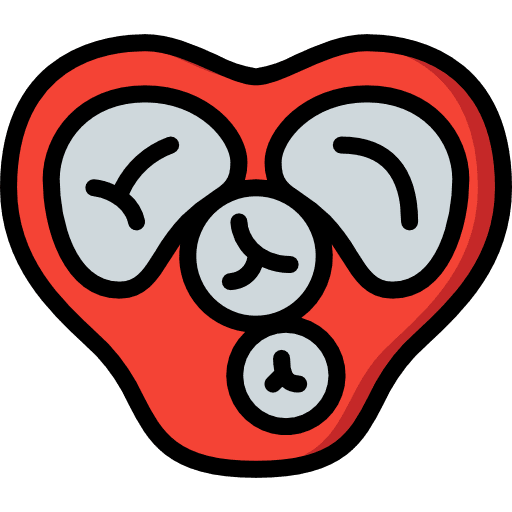 Heart organ healthcare and medical hospital icon
