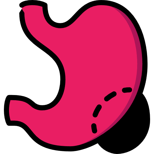 Stomach body parts gastroenterology stomach icon
