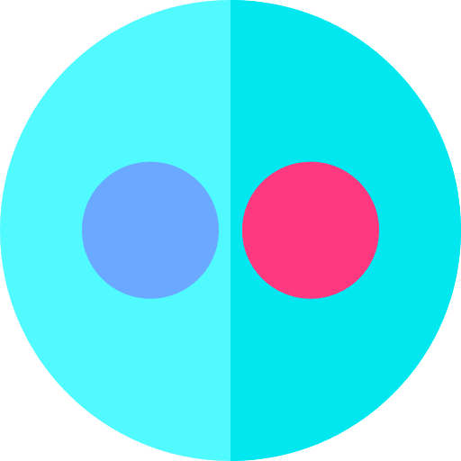 Flickr brand social network brands and logotypes icon