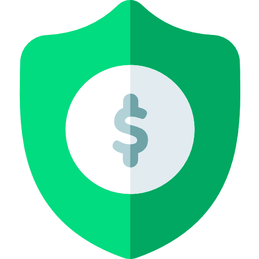 Protection defense dollar commerce icon
