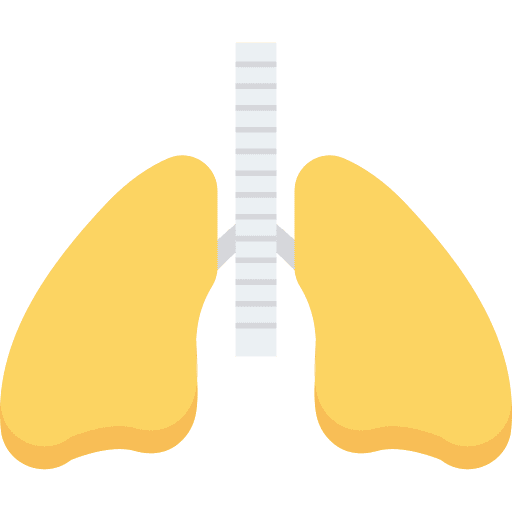Lungs breathe lungs organ icon