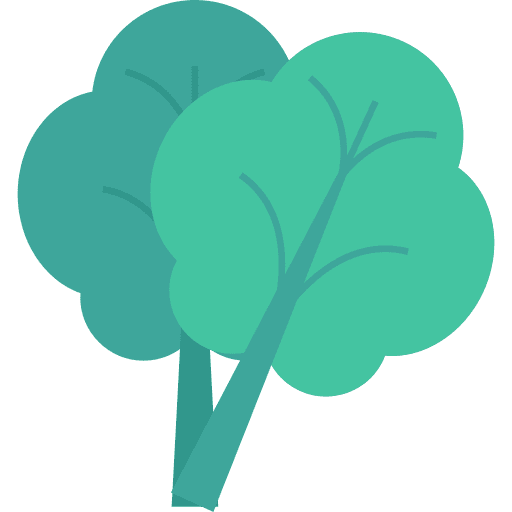 Oak oak leaves plant icon