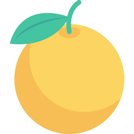 Orange fruit vegetarian organic icon