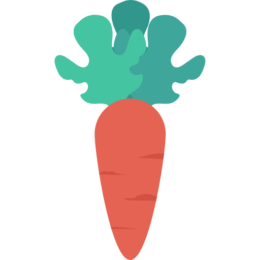 Carrot vegan diet healthy food icon