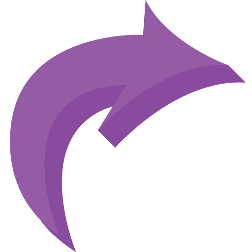 Right arrow skip arrow next icon