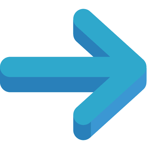 Right arrow skip arrows arrow icon