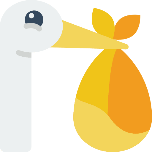 Baby newborn bird stork icon