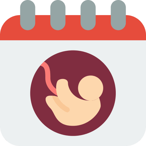 Birth baby appointment calendar icon