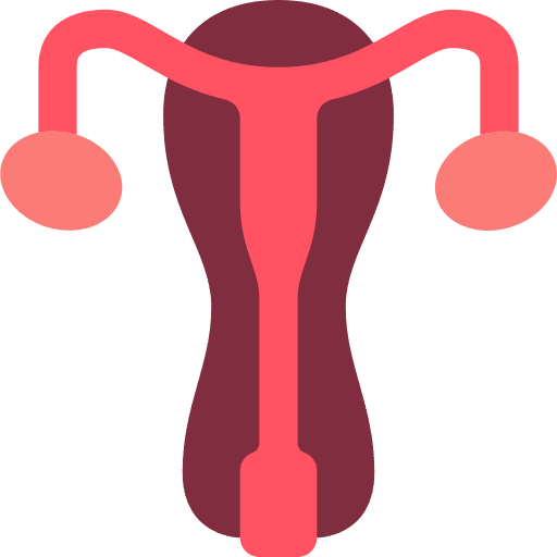 Fertility medical uterus female organs icon