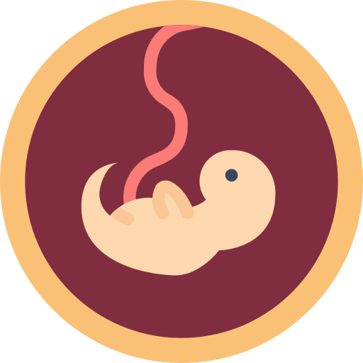 Fetus fetus womb gestation icon