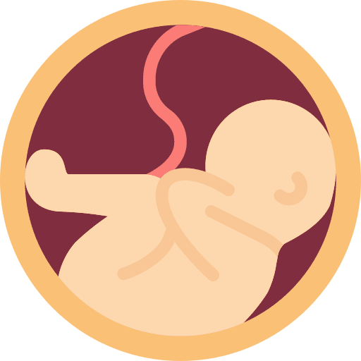 Womb reproduction gestation healthcare and medical icon