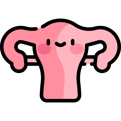 Uterus uterus reproductive system healthcare and medical icon
