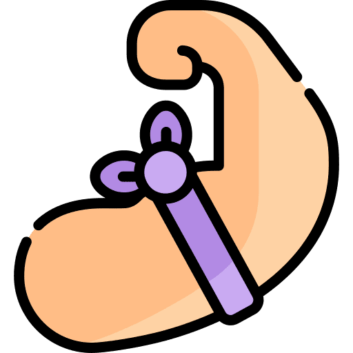 Feminism hands and gestures women gender icon