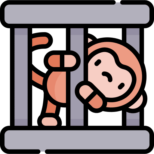 Monkey animals animal rights zoo icon