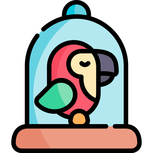 Bird cage bird animals pet icon