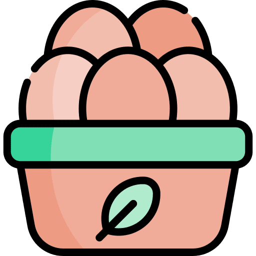 Organic eggs organic eggs eggs sustainable factory icon
